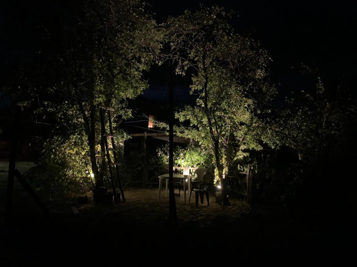 Siedlisko Glinnik Kültér fotó